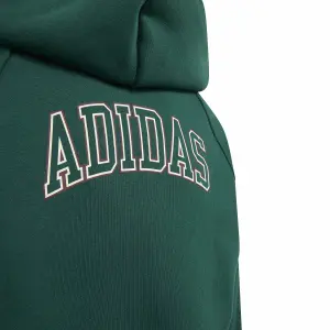 Felpa con cappuccio per bambini adidas Collegiate Typography image-4