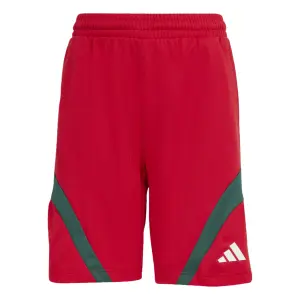 Shorts för barn adidas House Of Tiro