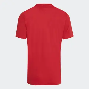 Turkey Shirt FIFA World Cup 2026 image-1