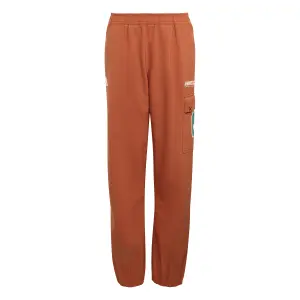 Children's softshell Trousers adidas Minecraft Terrex Climawarm