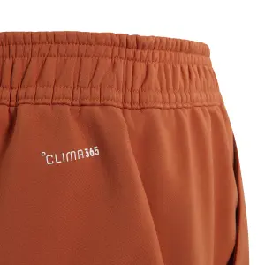 Children's softshell Trousers adidas Minecraft Terrex Climawarm image-4