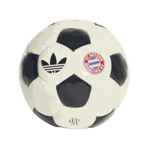 Bayern Munich Outdoor Football Club