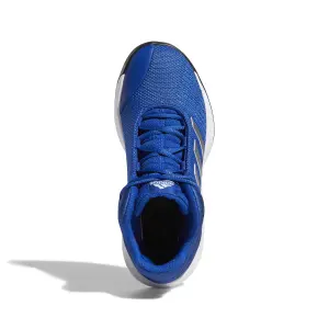 Basketskor för barn adidas Pro Spark 2018 image-3