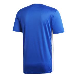 Camiseta adidas Entrada 18 image-2
