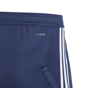 Trainingshose OL 2019/20 image-2