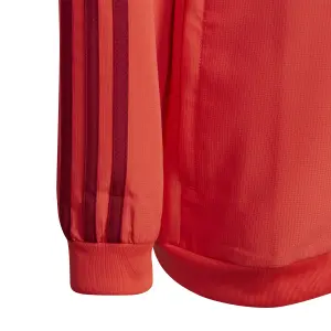 Veste de survêtement Prematch enfant Bayern Munich 2019/20 image-3