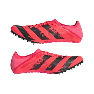 Shoes adidas Sprintstar Spikes image-2