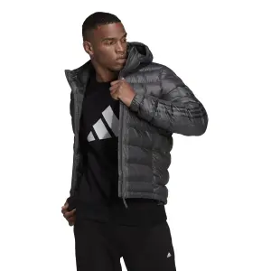 Donsjack adidas Sdp Badge of Sport image-2