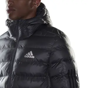 Donsjack adidas Sdp Badge of Sport image-6