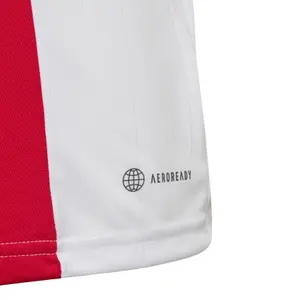 Børnehjemmets trøje Ajax Amsterdam 2022/23 image-4