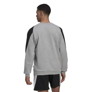 Broderet sweatshirt adidas Future Icons Badge of Sport image-5