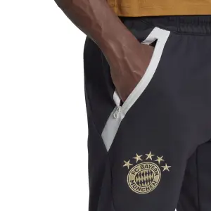 Pantaloni da ginnastica Bayern Munich Travel 2022/23 image-4