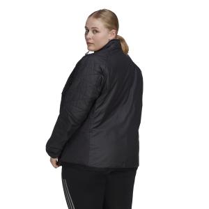 Chaqueta de plumón para mujer adidas Terrex GT image-4