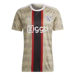 Terceira camisola Ajax Amsterdam Daily Paper 2022/23 image-1
