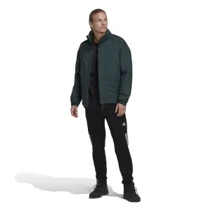 Chaqueta impermeable aislada adidas Terrex Ct Myshelter image-1