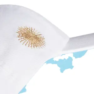 World cup 2022 cap Argentine image-3