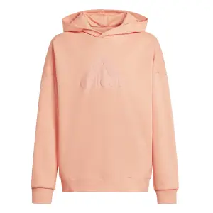 Hoodie Children's adidas Future Icons Logo image-0