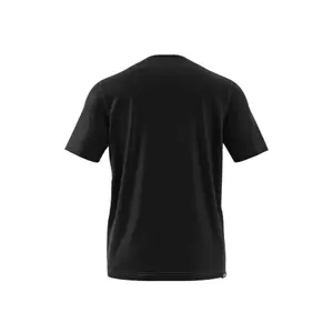 T-shirt adidas Terrex Mountain Fun Graphic image-3