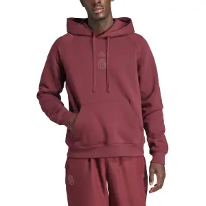 Hooded sweatshirt Bayern Munich Lifestyler 2023/24 image-3