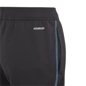Pantalones de entrenamiento para niños Arsenal 2023/24 image-2
