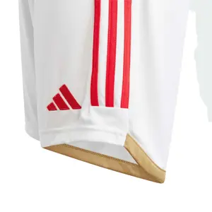 Primera equipación para niños Benfica Lisboa 2023/24 image-4