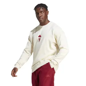 Felpa Manchester United Lifestyler 2023/24 image-4
