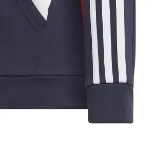 Sudadera con capucha para niños adidas 3-Stripes Colorblock image-5