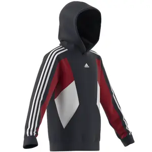 Kinder sweatshirt met capuchon adidas 3-Stripes Colorblock image-2