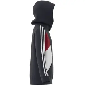 Kinder sweatshirt met capuchon adidas 3-Stripes Colorblock image-3