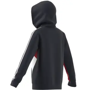 Kinder sweatshirt met capuchon adidas 3-Stripes Colorblock image-6