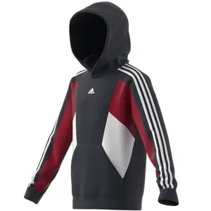 Kinder sweatshirt met capuchon adidas 3-Stripes Colorblock image-4