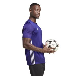 product/a/d/adidas_ib4926_7_apparel_on_model_walking_view_white.jpg