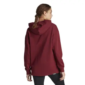 Dames sweatshirt adidas Terrex Logo image-4