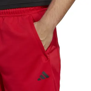 Pantaloncini adidas Essentials All Set image-6