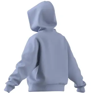Kapuzenpullover Frau adidas Future Icons Badge of Sport image-6