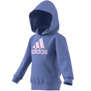 Kinder sweatshirt met capuchon adidas Essentials Logo image-4
