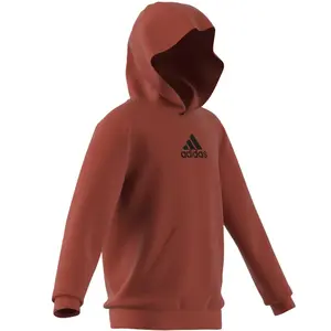 Casaco com capuz estampado para crianças adidas Brand Love image-3