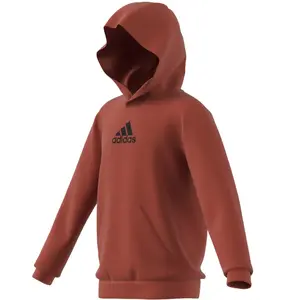 Casaco com capuz estampado para crianças adidas Brand Love image-4