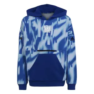 Weiter Kapuzenpullover Kind adidas ARKD3 image-0