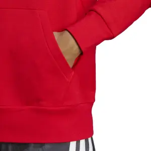Hoodie adidas Essentials French Terry Big Logo image-5