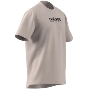 Koszulka adidas All Szn Graphic image-4