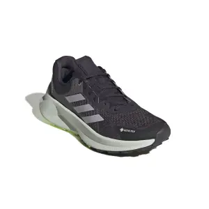 Damesschoenen adidas Terrex Soulstride Flow GTX image-1