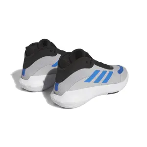 Scarpe basket adidas Bounce Legends image-2