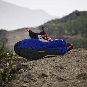 Chaussures de randonnée adidas Terrex Free 2 Gore-Tex image-3