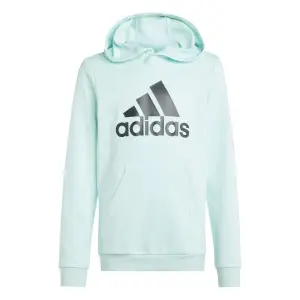 Sweatshirt child adidas Big Logo Essentials image-0
