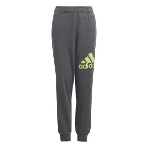 Kids' joggers adidas Essentials Regular Fit Big Logo image-0