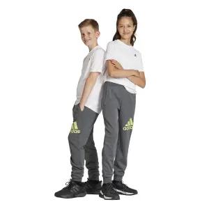 Kids' joggers adidas Essentials Regular Fit Big Logo image-3