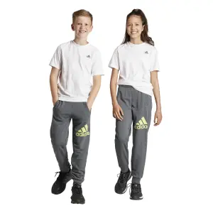 Kids' joggers adidas Essentials Regular Fit Big Logo image-1