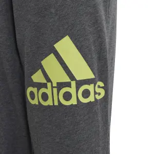 Kids' joggers adidas Essentials Regular Fit Big Logo image-6