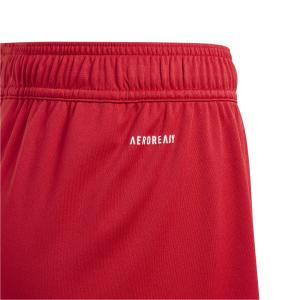 Shorts für Kinder adidas Fortore 23 image-4